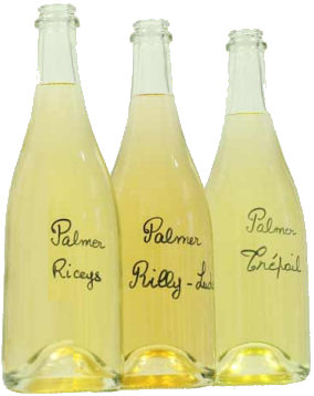 palmer bottles